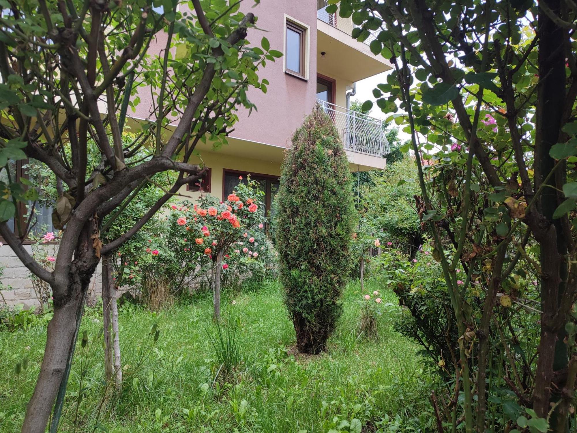 Къща За Гости M-Stone Bansko Exterior foto